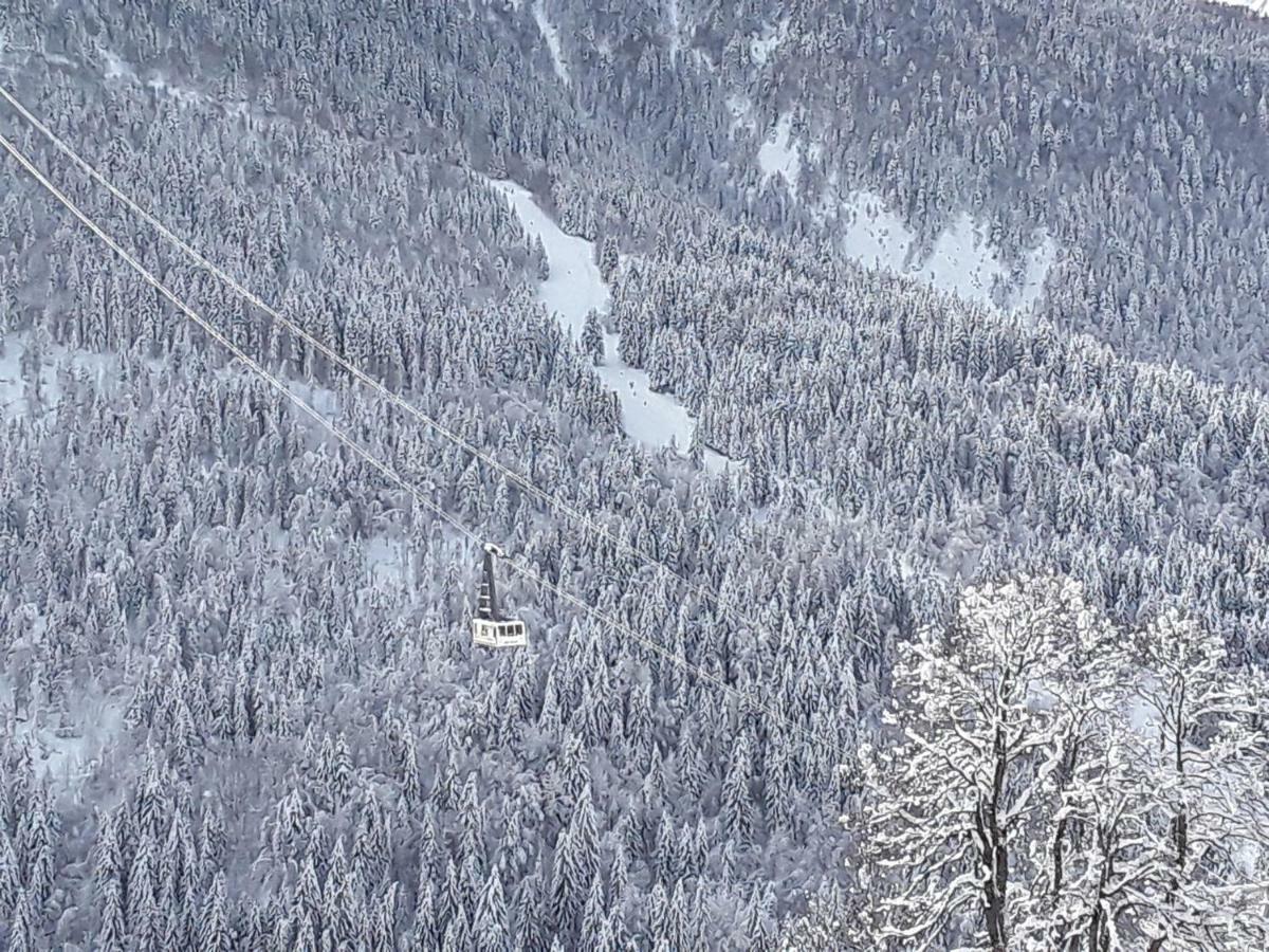 Appartamento L'Aigle Royal Vaujany Esterno foto